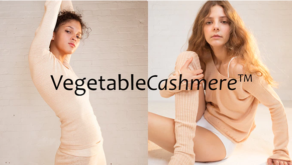 Vegetable Cashmere: a vegan alternative to cashmere
